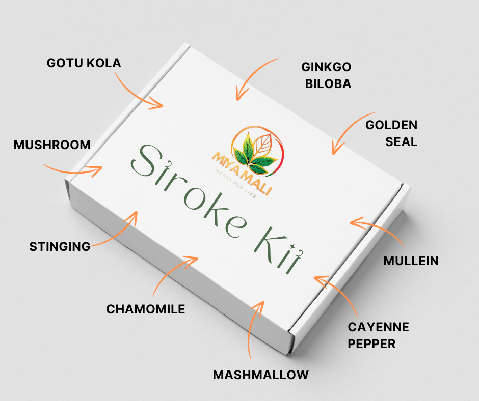 Stroke Kit