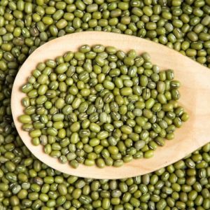 Lehlodi/Mung Bean Seeds