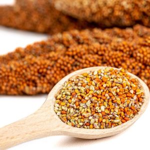 Mabele/Sorghum Seeds