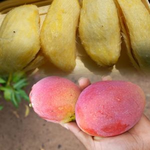 Ma-Nku/Mango Seeds