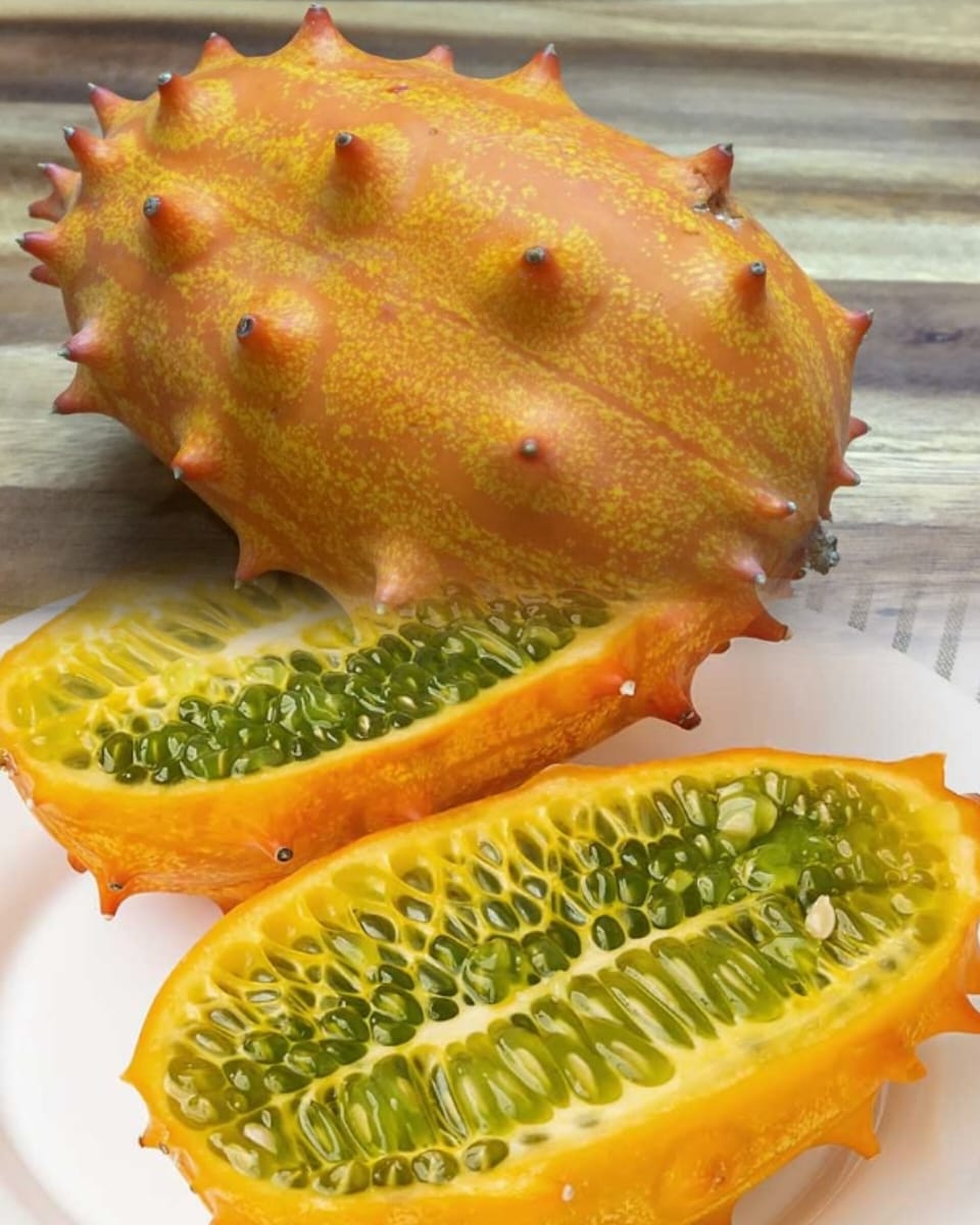 Phokgu/Afrikan wild cucumber