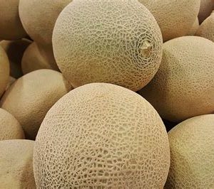 Muskmelon Seeds