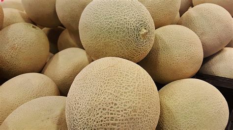 Muskmelon Seeds