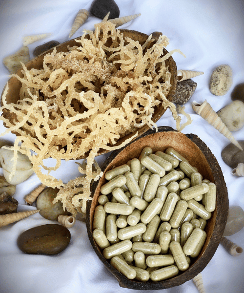 Sea Moss Capsules