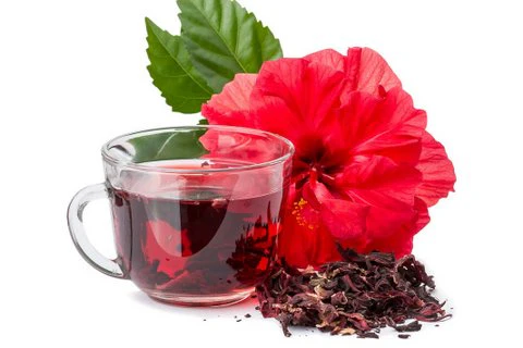 hibiscus flower