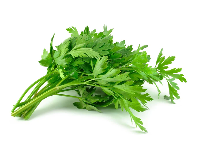 Parsley Leaves