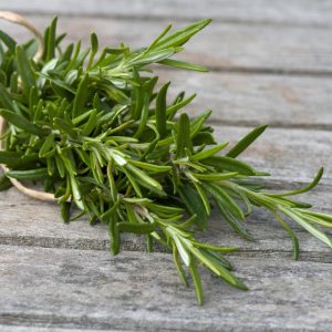 Rosemary