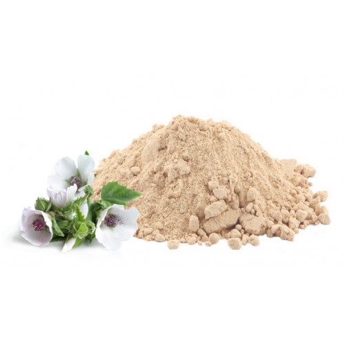 Marshmallow Root - Image 2